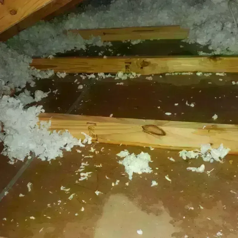 Attic Water Damage in Mechanicsville, PA